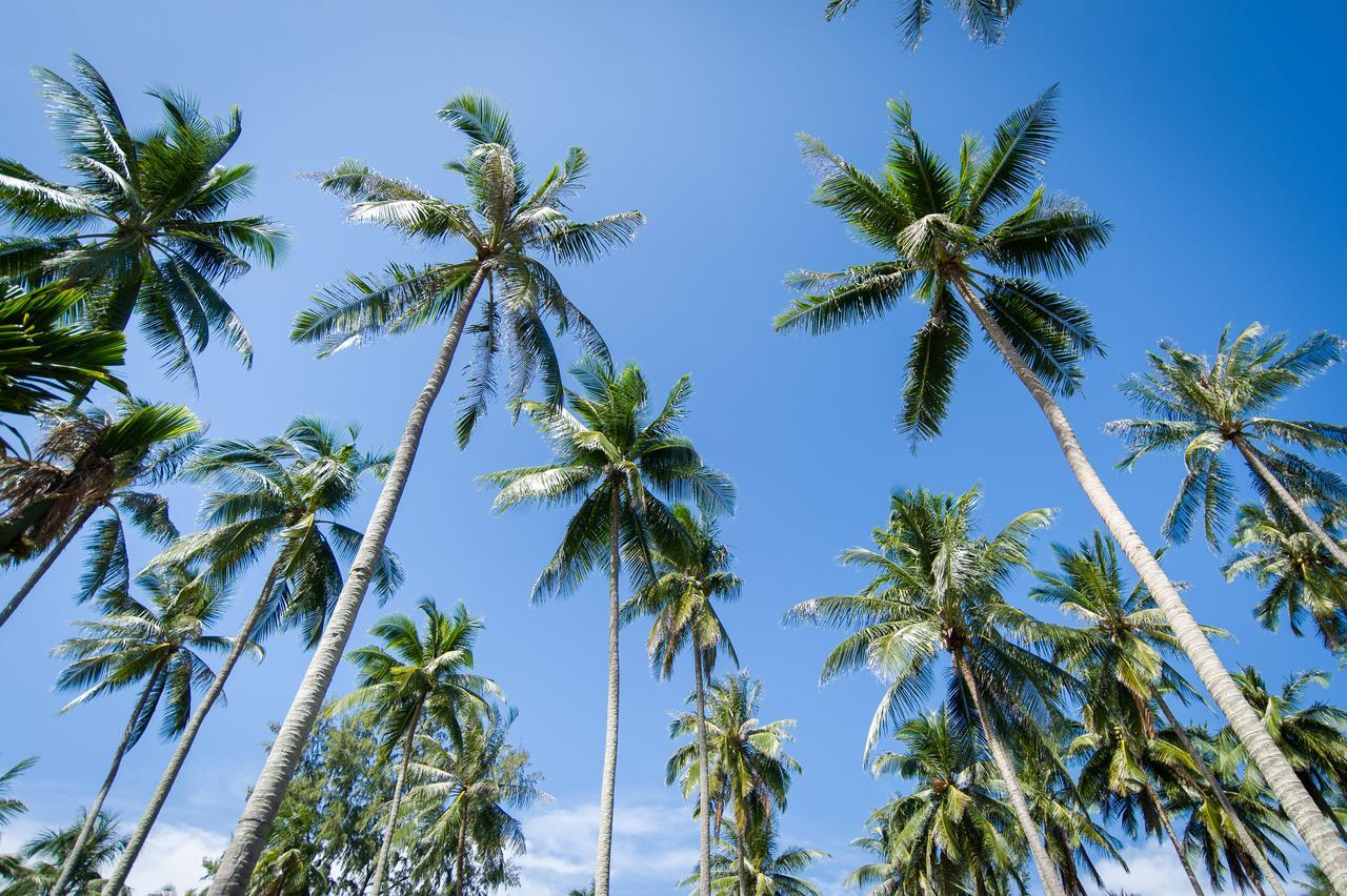 Medee Resort Ko Kut Bagian luar foto
